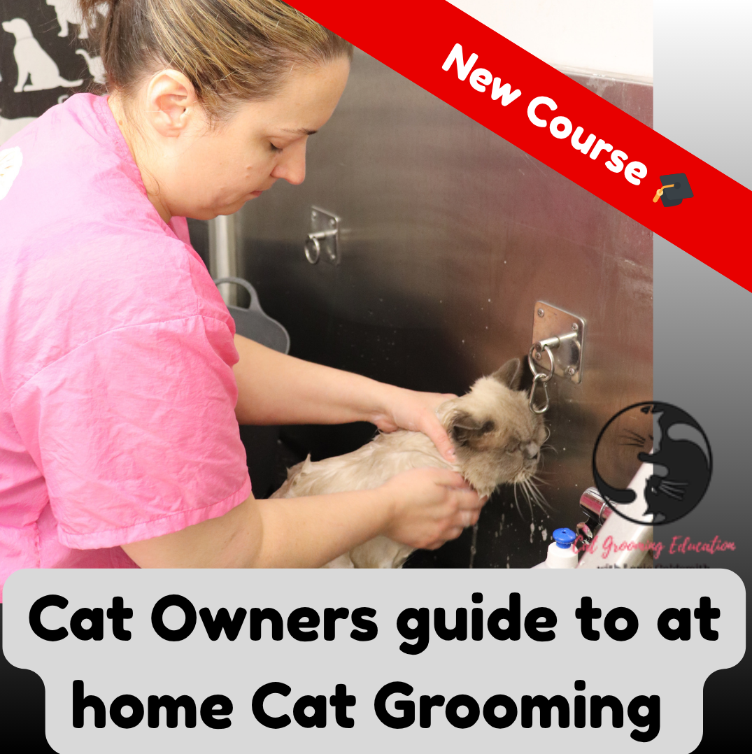 Cat Owners guide to at Home Grooming - Ultimate Pet Parent