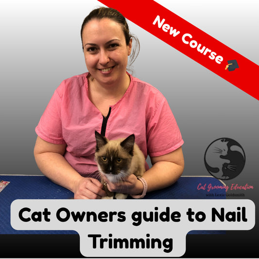 Cat Owners guide Nail Trimming - Ultimate Pet Parent