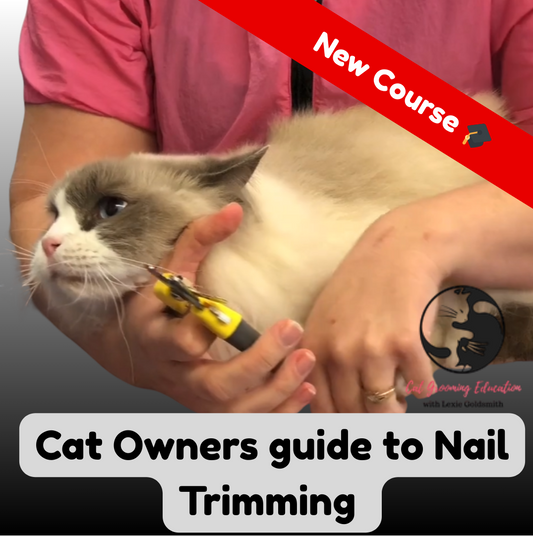 Cat Owners guide Nail Trimming - Ultimate Pet Parent