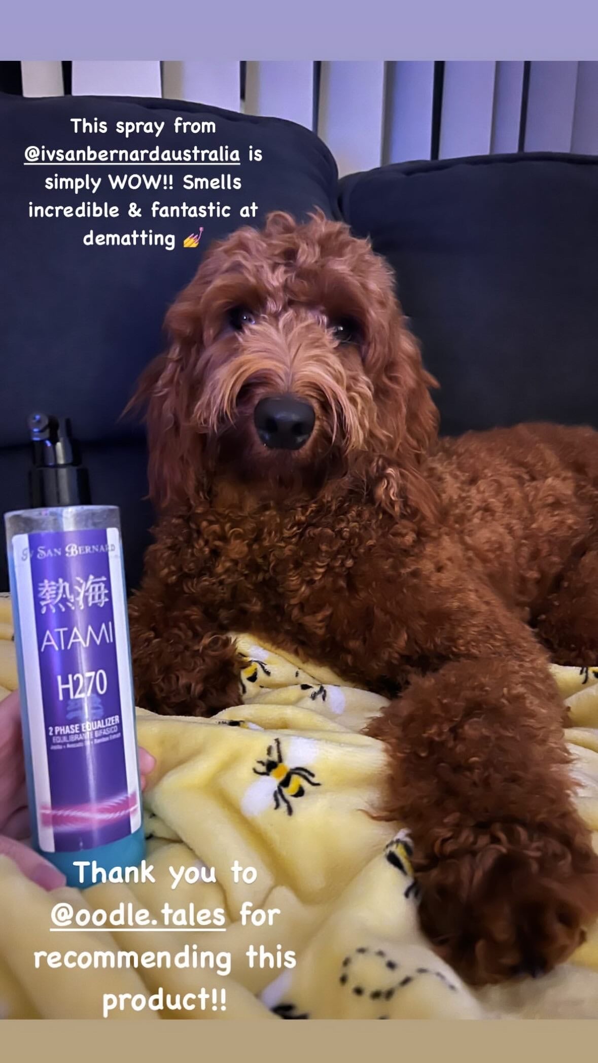 ATAMI H270 - 2 PHASE EQUALIZER Conditioning Spray for all Coat Types - Ultimate Pet Parent