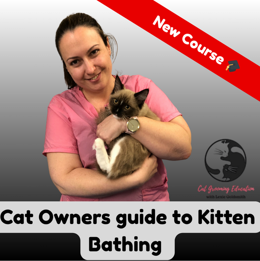 Cat Owners guide to Kitten Bathing - Ultimate Pet Parent